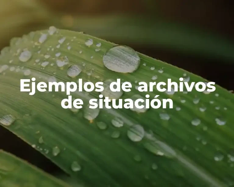Ejemplos de archivos de situación