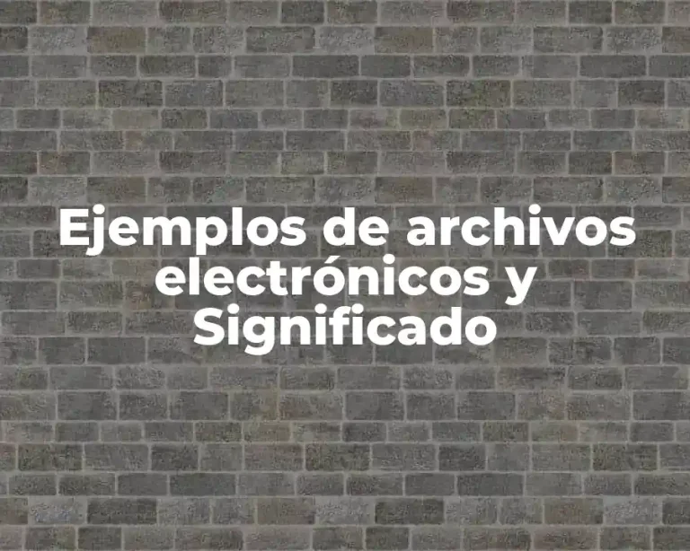 Ejemplos de archivos electrónicos y Significado