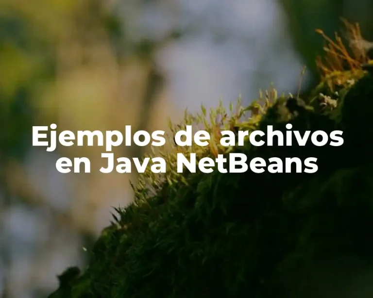 Ejemplos de archivos en Java NetBeans