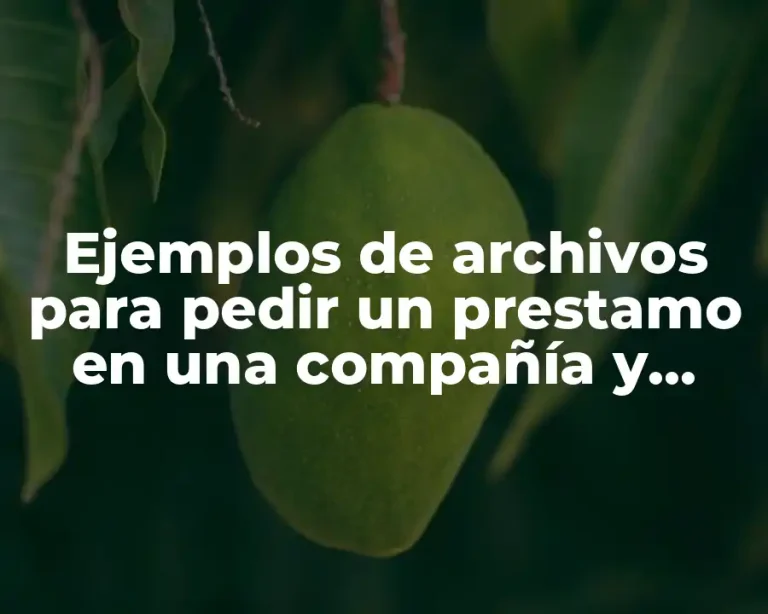 Ejemplos de archivos para pedir un prestamo en una compañía y Significado