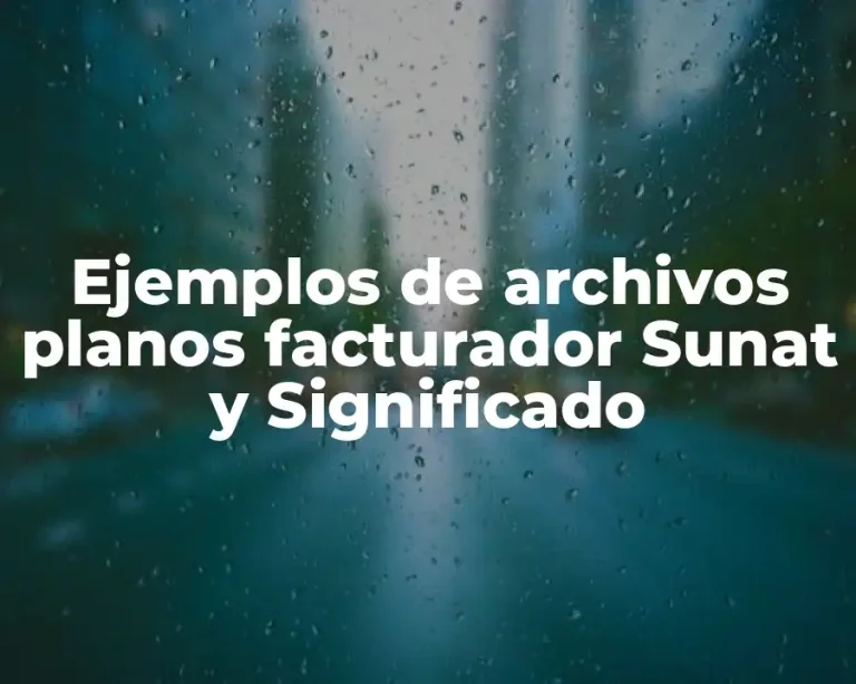 Ejemplos de archivos planos facturador Sunat y Significado