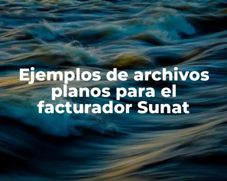 Ejemplos de archivos planos para el facturador Sunat