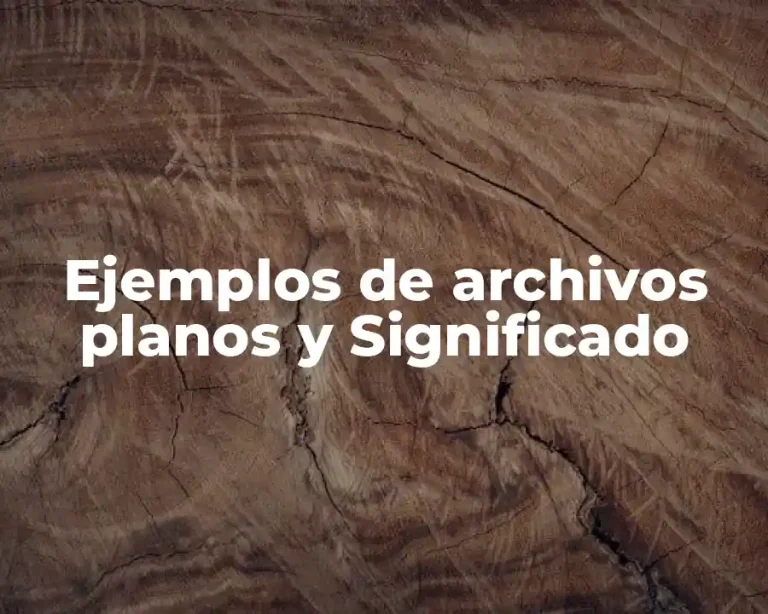 Ejemplos de archivos planos y Significado