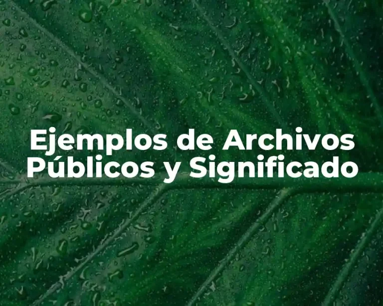Ejemplos de Archivos Públicos y Significado