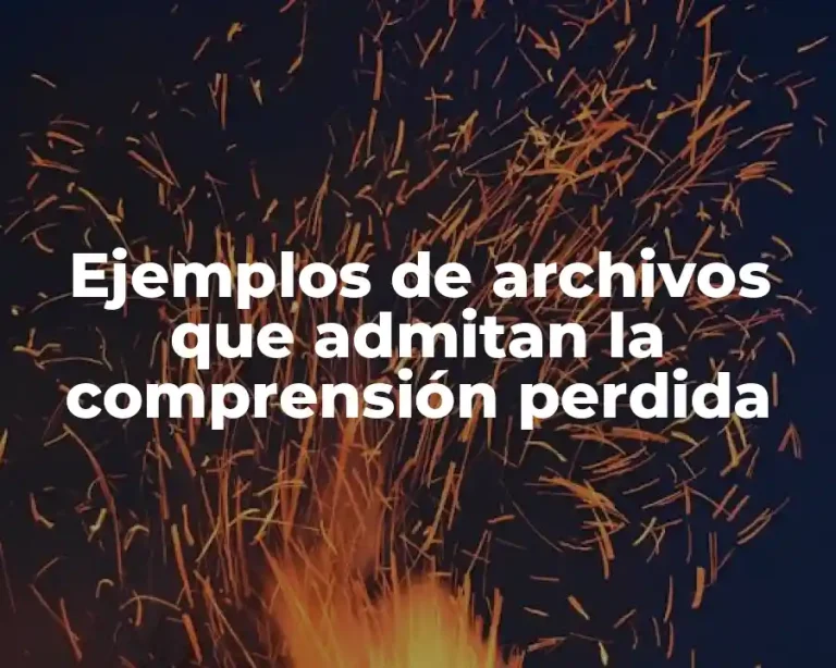 Ejemplos de archivos que admitan la comprensión perdida