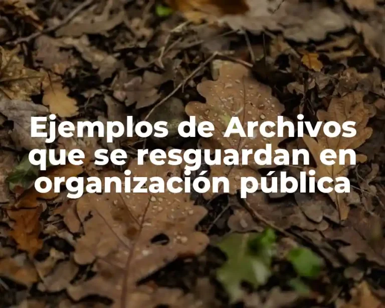 Ejemplos de Archivos que se resguardan en organización pública