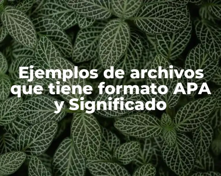 Ejemplos de archivos que tiene formato APA y Significado
