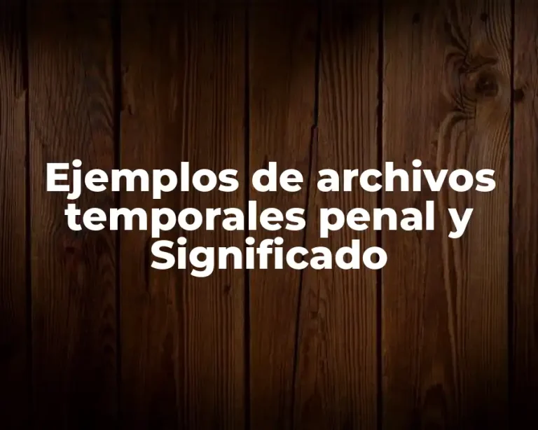 Ejemplos de archivos temporales penal y Significado