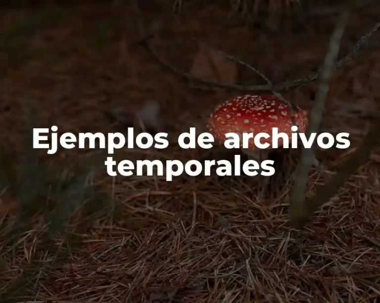 Ejemplos de archivos temporales