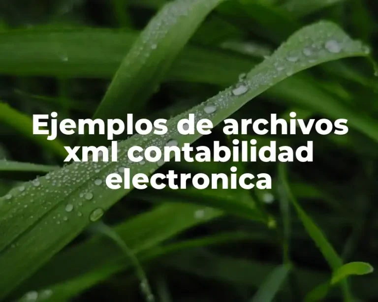 Ejemplos de archivos xml contabilidad electronica