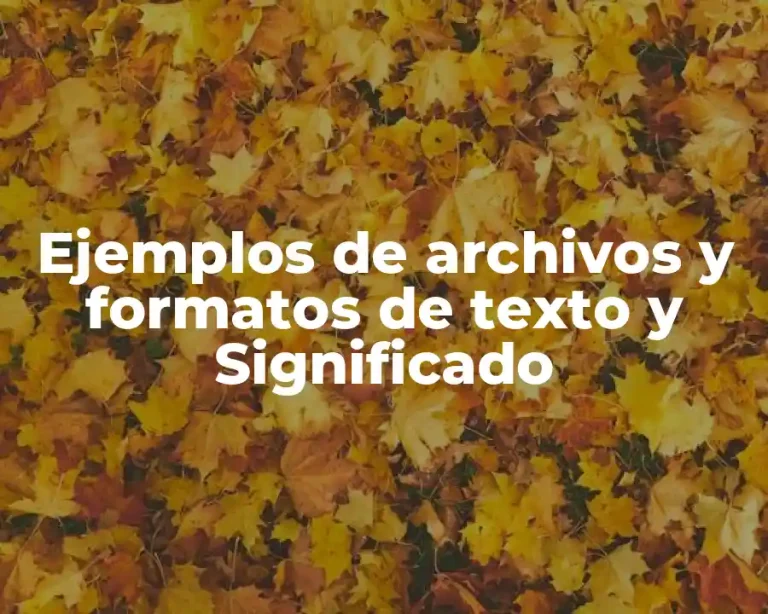 Ejemplos de archivos y formatos de texto y Significado