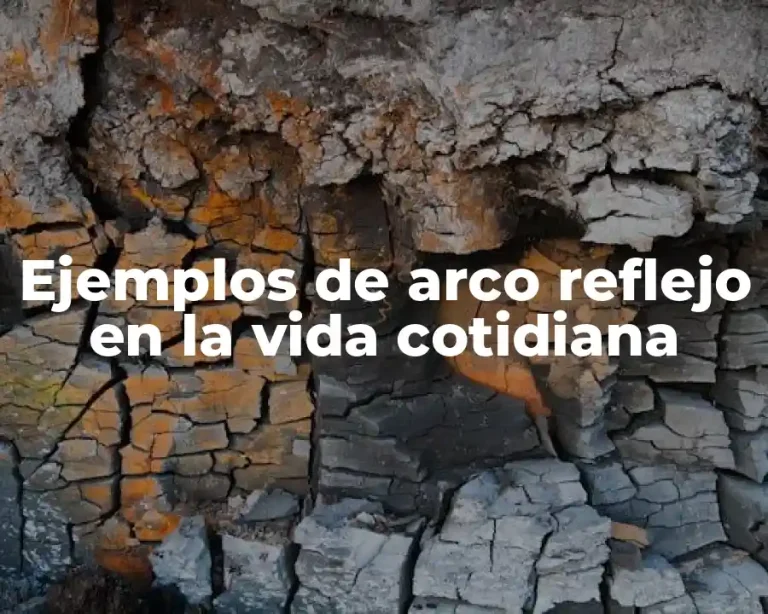 Ejemplos de arco reflejo en la vida cotidiana