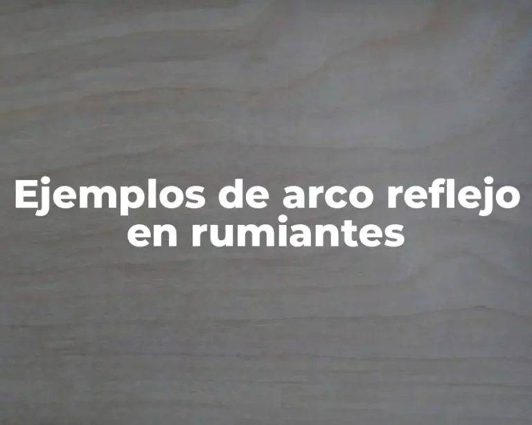 Ejemplos de arco reflejo en rumiantes