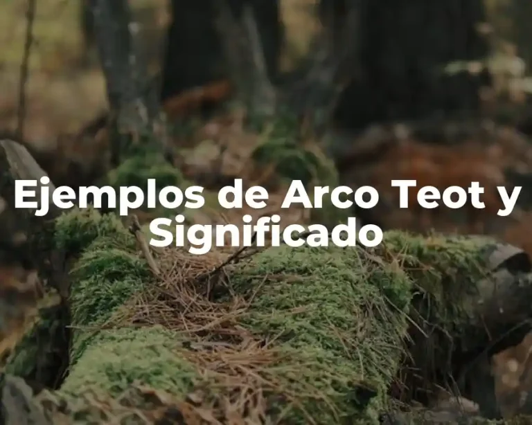 Ejemplos de Arco Teot y Significado