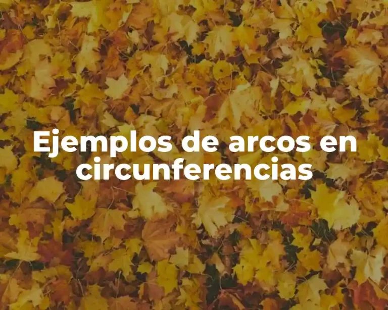Ejemplos de arcos en circunferencias