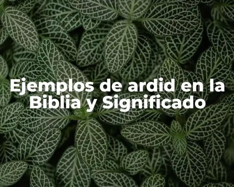 Ejemplos de ardid en la Biblia y Significado