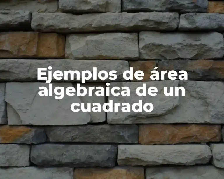 Ejemplos de área algebraica de un cuadrado