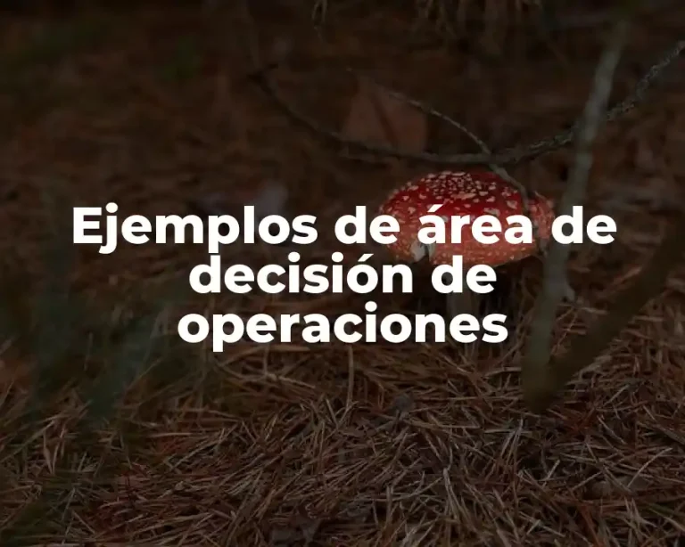 Ejemplos de área de decisión de operaciones