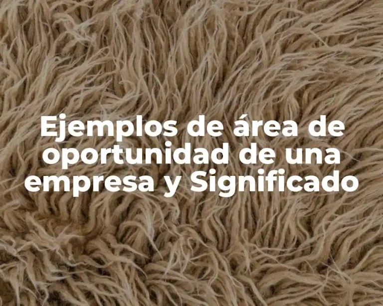 Ejemplos de área de oportunidad de una empresa y Significado