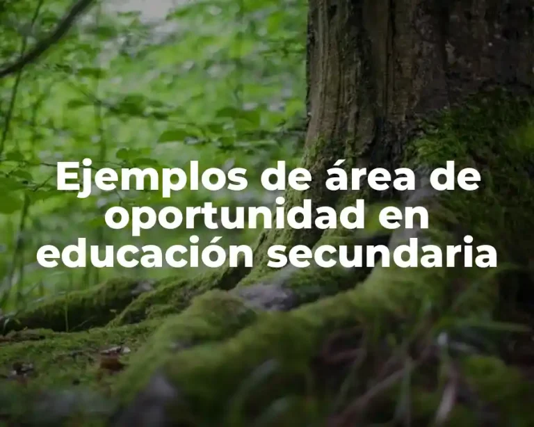 Ejemplos de área de oportunidad en educación secundaria