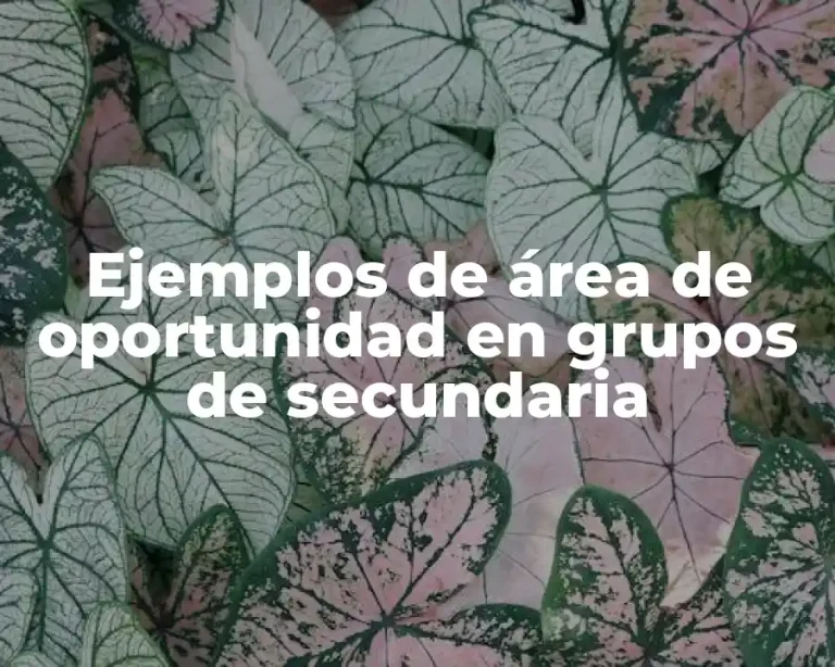 Ejemplos de área de oportunidad en grupos de secundaria