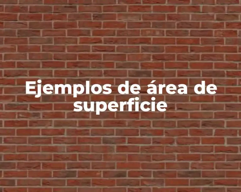 Ejemplos de área de superficie