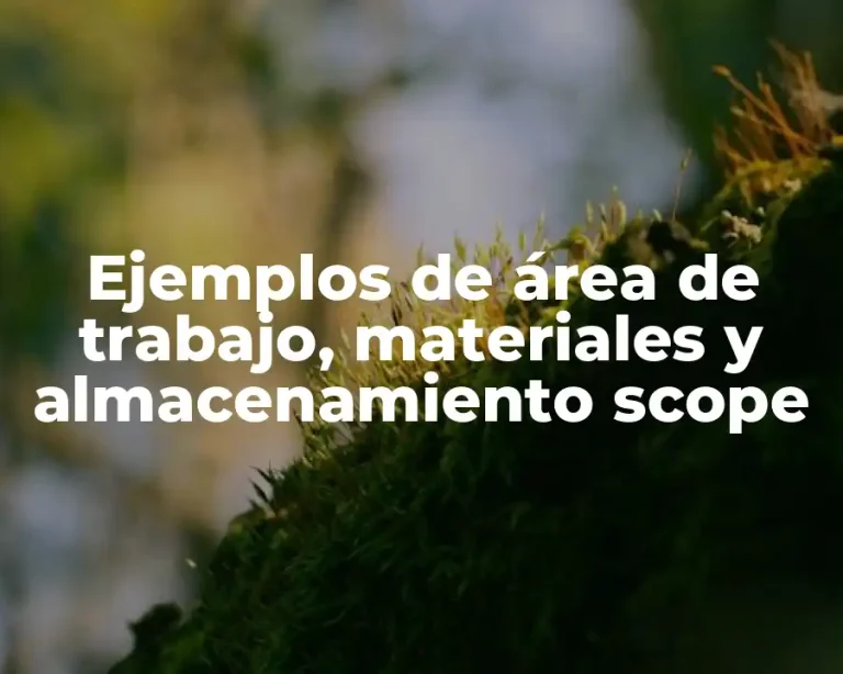 Ejemplos de área de trabajo, materiales y almacenamiento scope