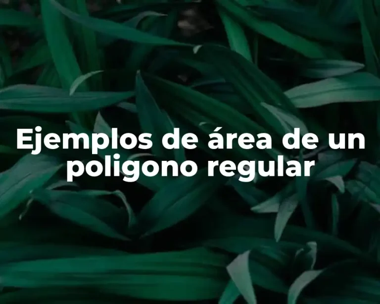 Ejemplos de área de un poligono regular