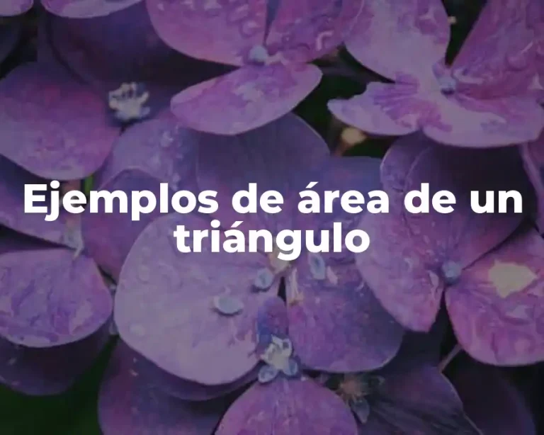 Ejemplos de área de un triángulo
