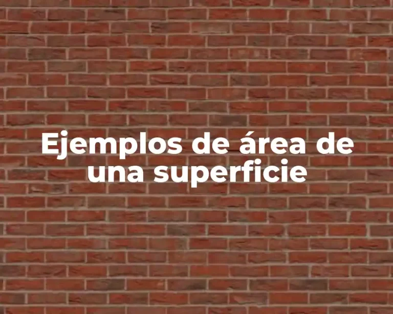 Ejemplos de área de una superficie