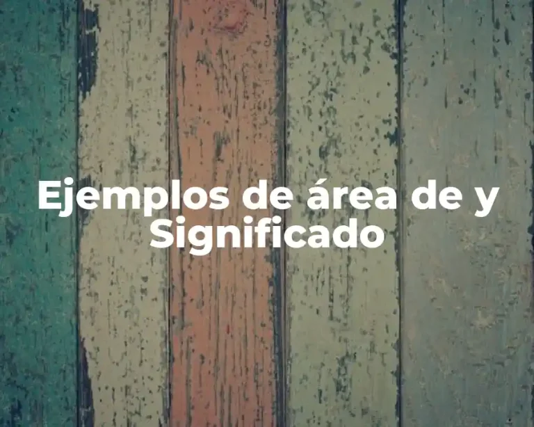 Ejemplos de área de y Significado