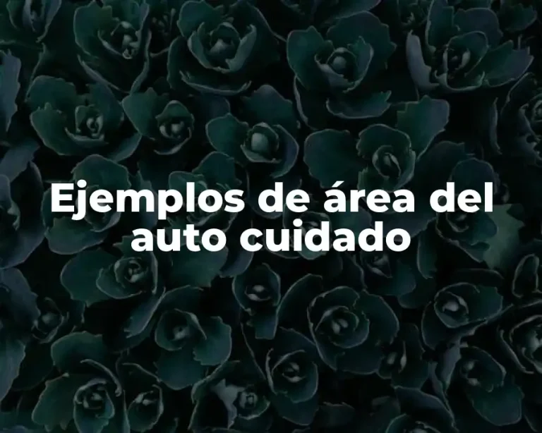 Ejemplos de área del auto cuidado