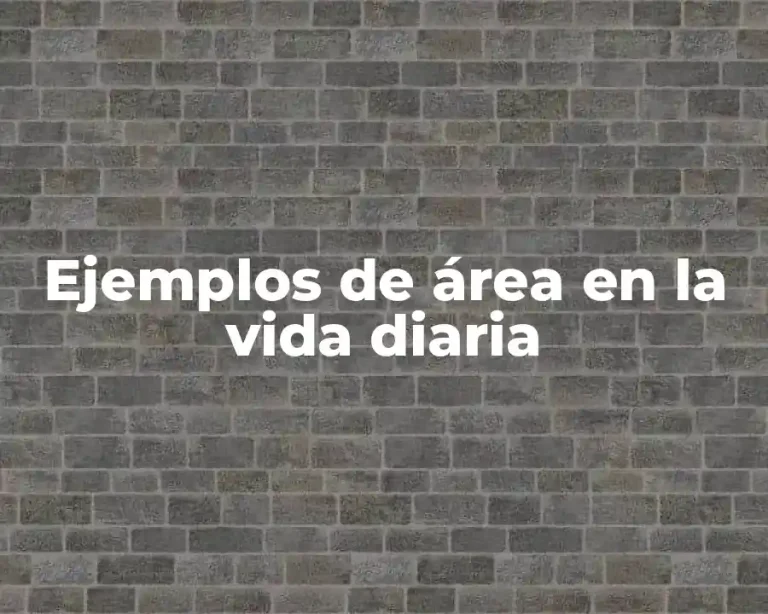 Ejemplos de área en la vida diaria