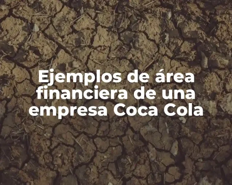 Ejemplos de área financiera de una empresa Coca Cola