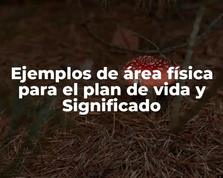 Ejemplos de área física para el plan de vida y Significado