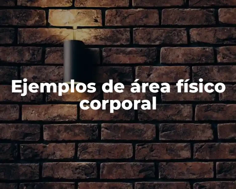 Ejemplos de área físico corporal