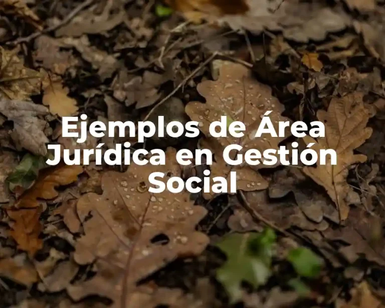 Ejemplos de Área Jurídica en Gestión Social