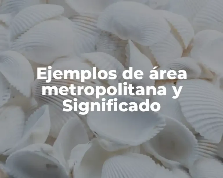Ejemplos de área metropolitana y Significado