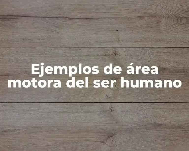 Ejemplos de área motora del ser humano