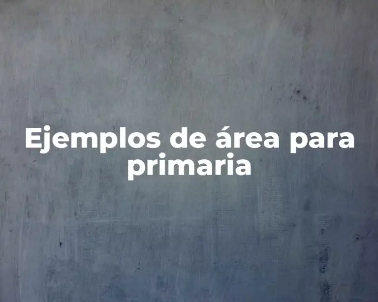 Ejemplos de área para primaria