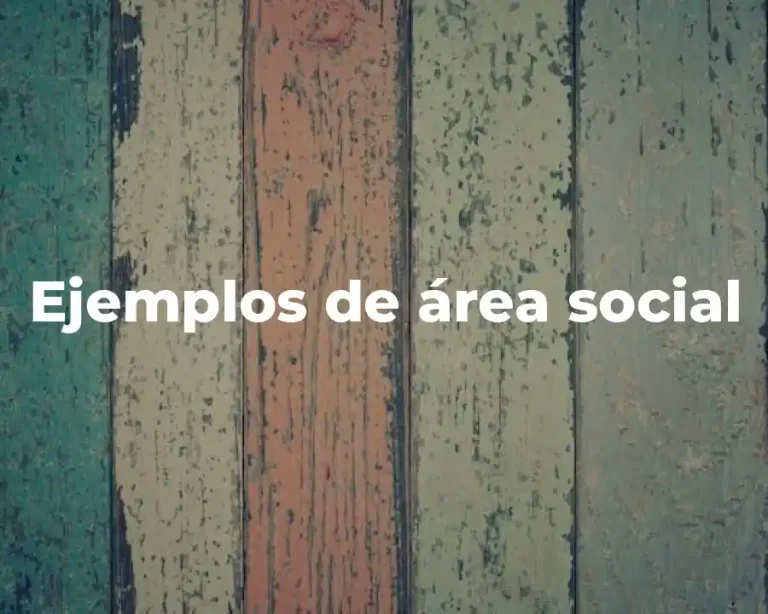 Ejemplos de área social