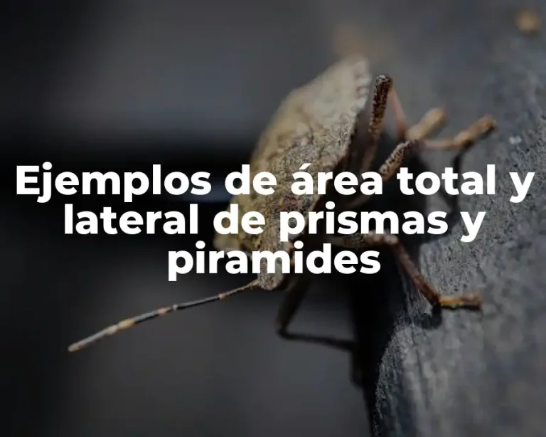 Ejemplos de área total y lateral de prismas y piramides