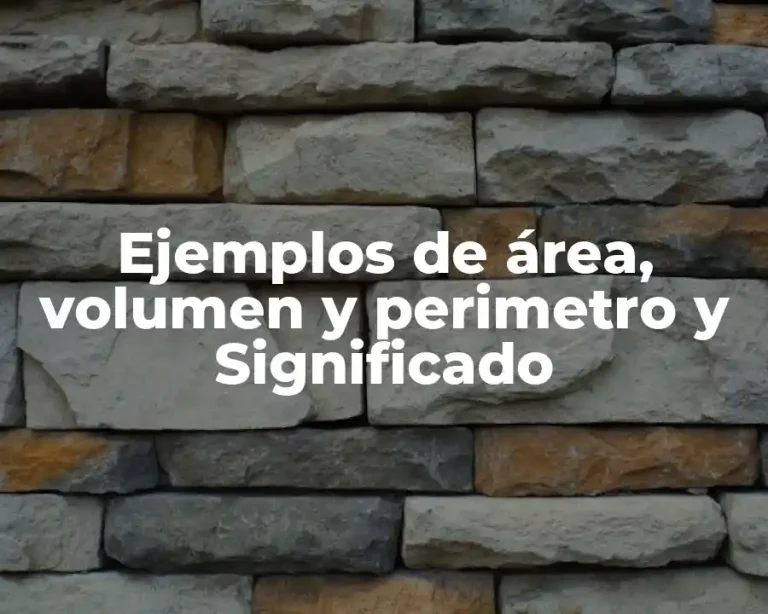 Ejemplos de área, volumen y perimetro y Significado