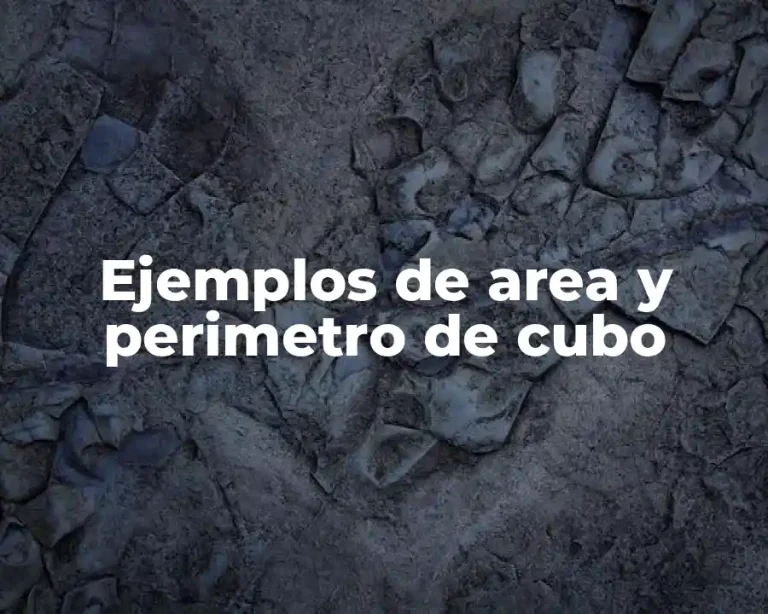 Ejemplos de area y perimetro de cubo