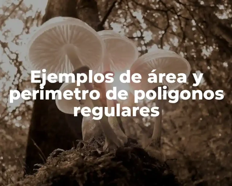 Ejemplos de área y perimetro de poligonos regulares