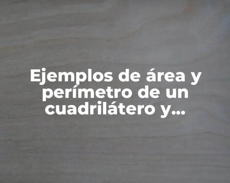 Ejemplos de área y perímetro de un cuadrilátero y Significado