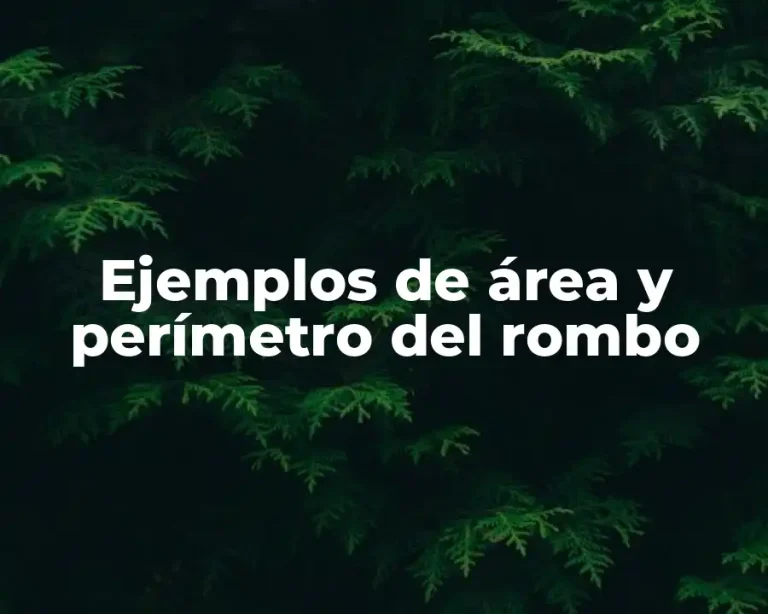 Ejemplos de área y perímetro del rombo