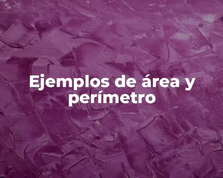 Ejemplos de área y perímetro