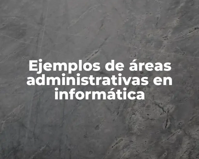 Ejemplos de áreas administrativas en informática