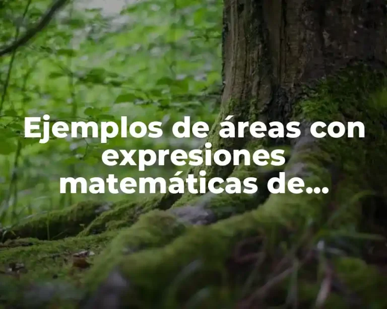 Ejemplos de áreas con expresiones matemáticas de segundo grado